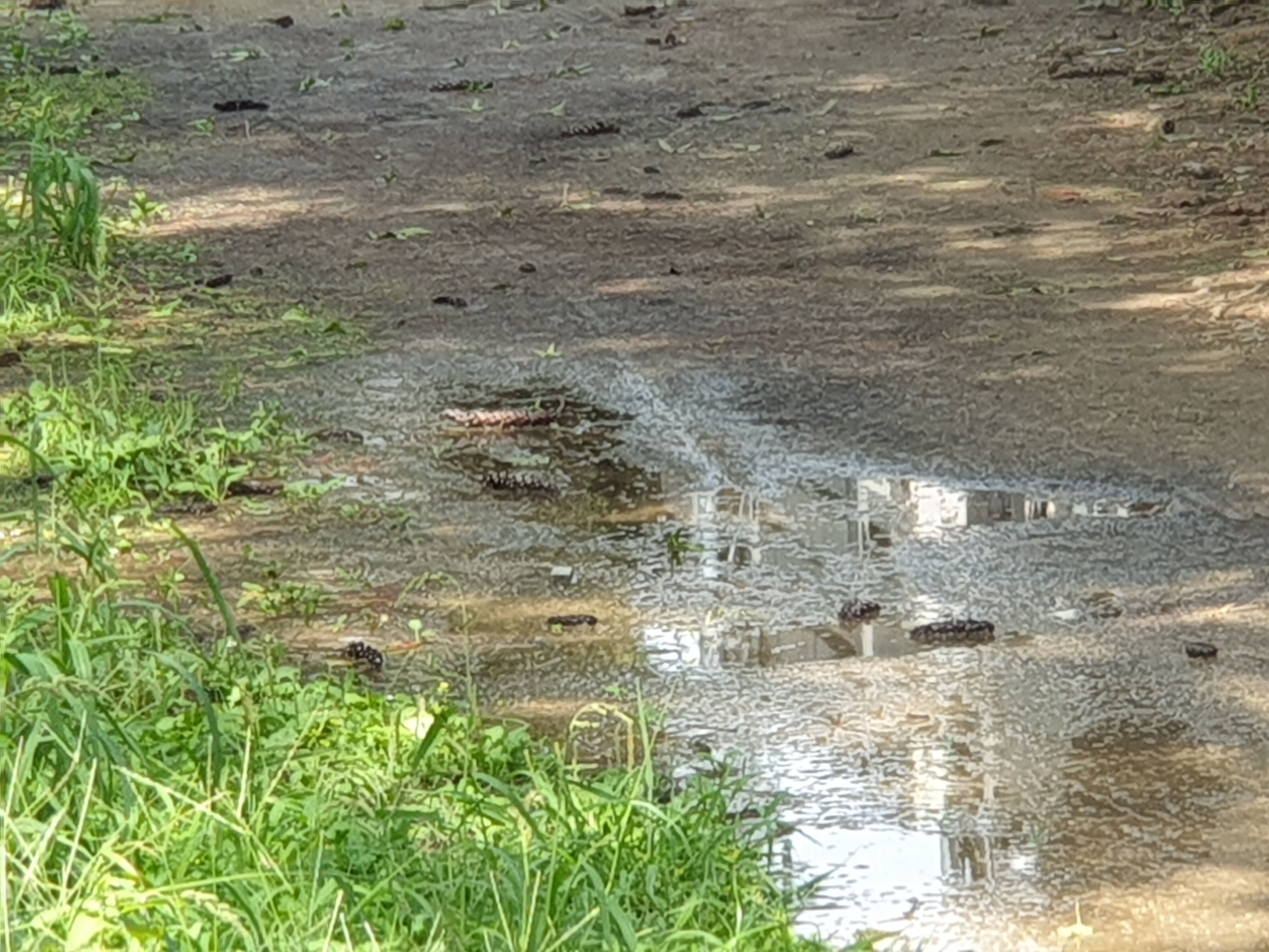 20220906_125004.jpg